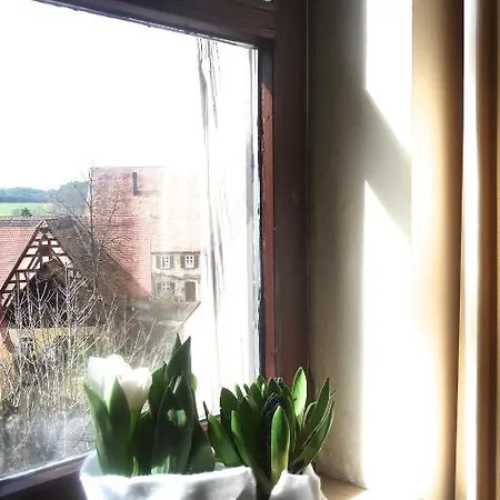 Landgasthof Weisses Lamm Отель 3*