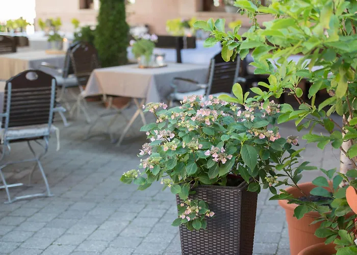 Landgasthof Weisses Lamm Hotel 3*